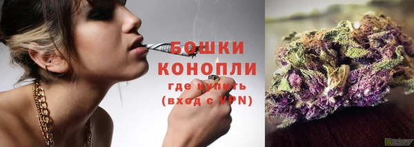 Альфа ПВП Медногорск