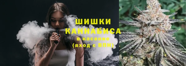 гидра Мегион