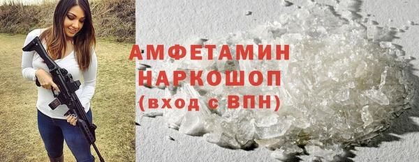 прущие грибы Магадан