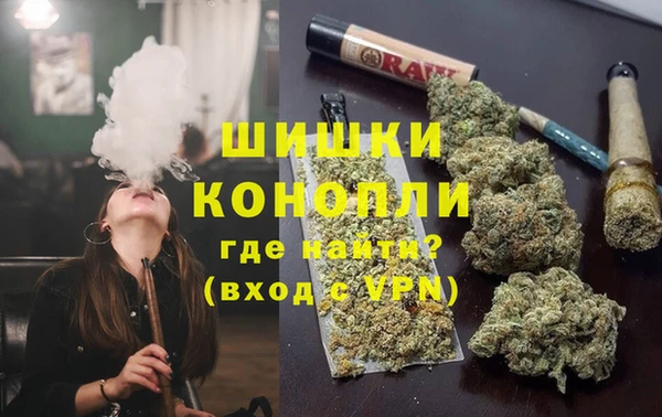 гидра Мегион
