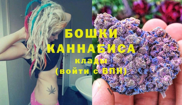 гидра Мегион