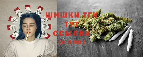гидра Мегион