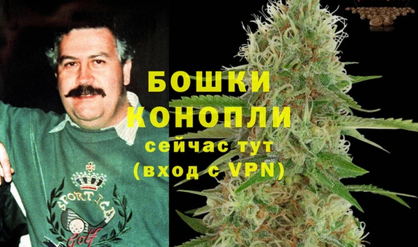 Альфа ПВП Медногорск