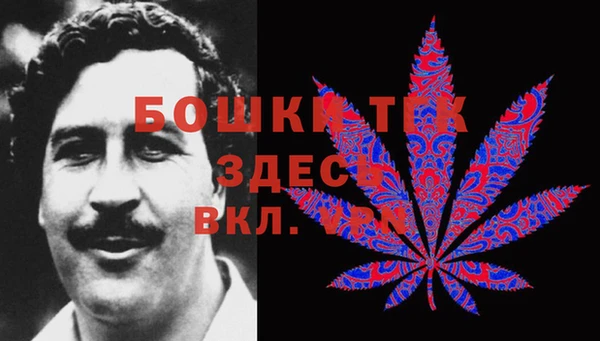 прущие крисы Медвежьегорск
