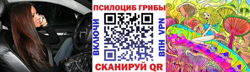 Псилоцибиновые грибы Magic Shrooms  купить наркотики цена  Дрезна 
